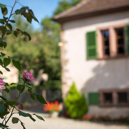 Gite **** Le Meyerhof Rorschwihr Exteriér fotografie
