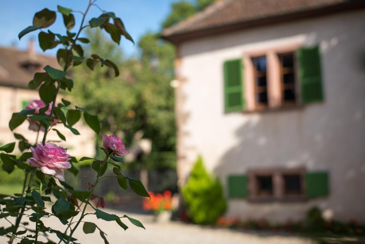Gite **** Le Meyerhof Rorschwihr Exteriér fotografie