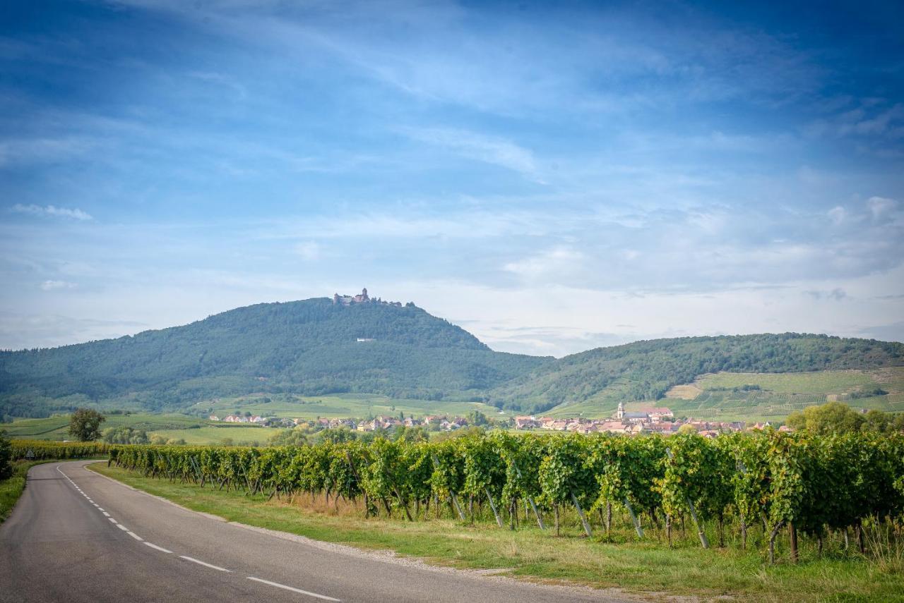 Gite **** Le Meyerhof Rorschwihr Exteriér fotografie